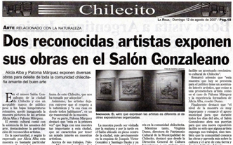 Review Diario Chilecito